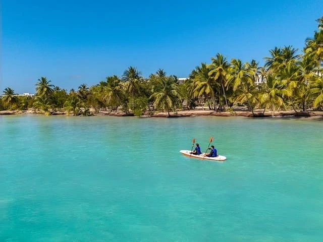 Kayaking along a palm-lined shore in the Dominican Republic