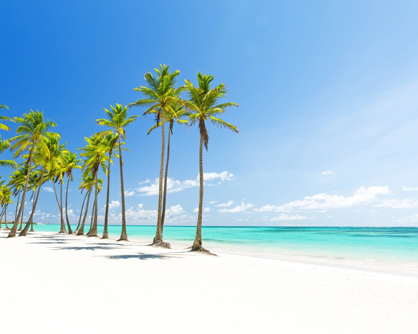 Palm-lined beach and turquoise water in Punta Cana, Dominican Republic