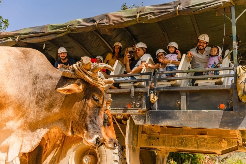 A safari-style excursion through the Dominican countryside