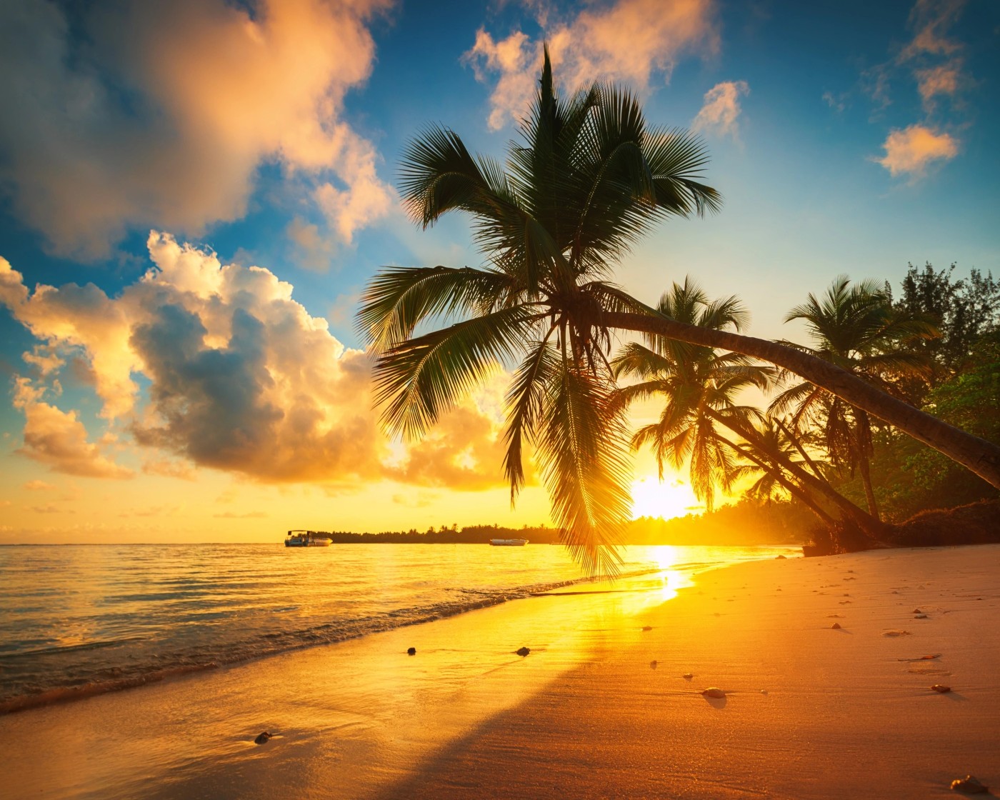 A warm sunset over a palm-lined Dominican Republic beach
