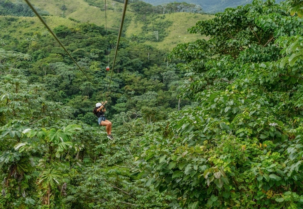 A zipline adventure through tropical greenery near Punta Cana