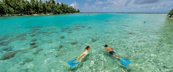 Snorkelers exploring a tropical lagoon